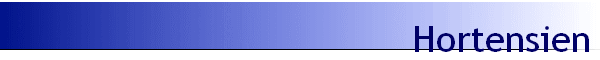 Hortensien